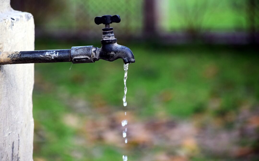 Avanços cap al Dret Humà a l’Aigua en la nova Directiva d’aigua potable