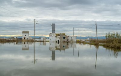 Desplaçaments ambientals: mapa d’entitats