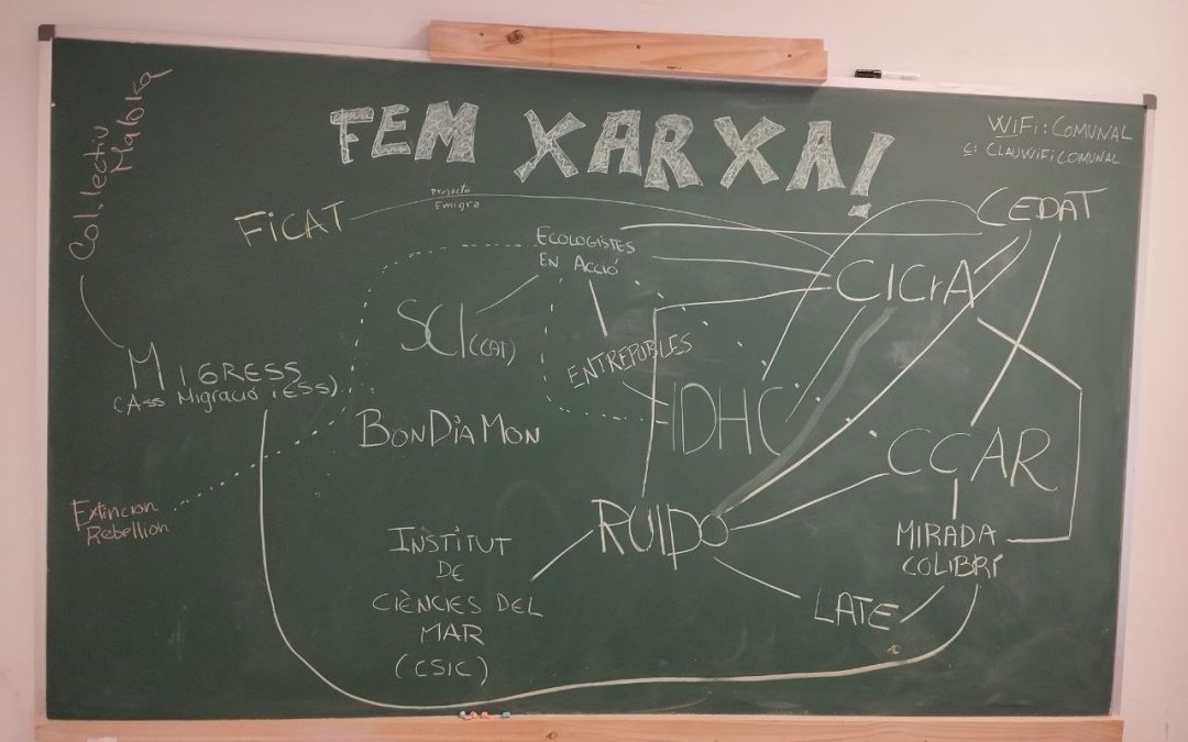 Apoyo en las actividades del proyecto “Desertificación”