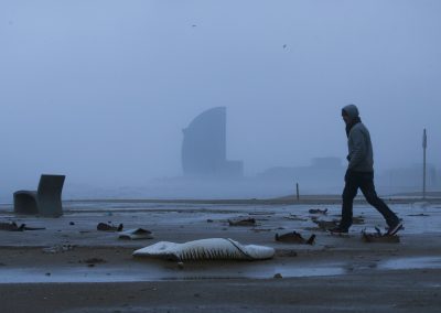 Recerca sobre els impactes del canvi climàtic en la garantia del DHAS