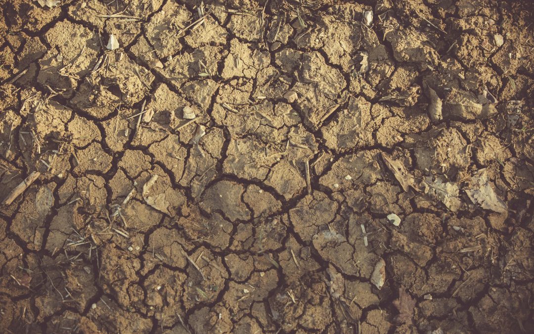 Recerca per a determinar els factors ambientals en les mobilitats climàtiques cap a Catalunya