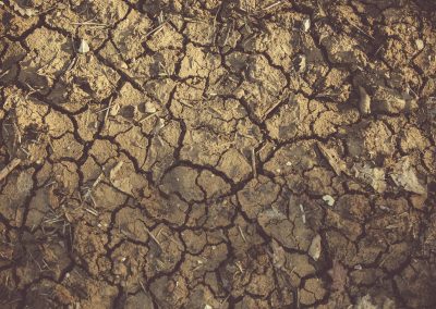 Recerca per a determinar els factors ambientals en les mobilitats climàtiques cap a Catalunya