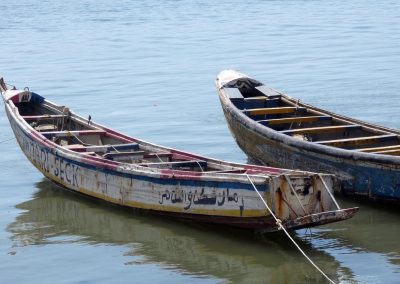 Estudi sobre les migracions ambientals causades pels impactes del Canvi Ambiental Global