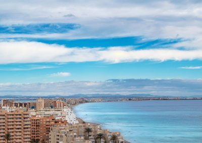 Coordinació d’una publicació sobre drets de la natura
