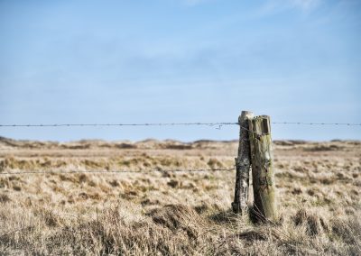 Investigación sobre las limitaciones en la acogida de las personas migrantes ambientales