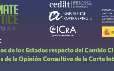 20/02 Webtalk: “Obligaciones de los Estados respecto del Cambio Climático: Perspectivas de la Opinión Consultiva de la Corte Internacional de Justicia”