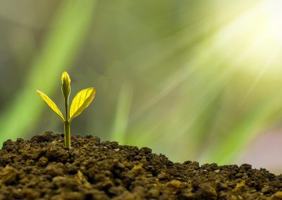 Relatoría sobre fiscalidad verde