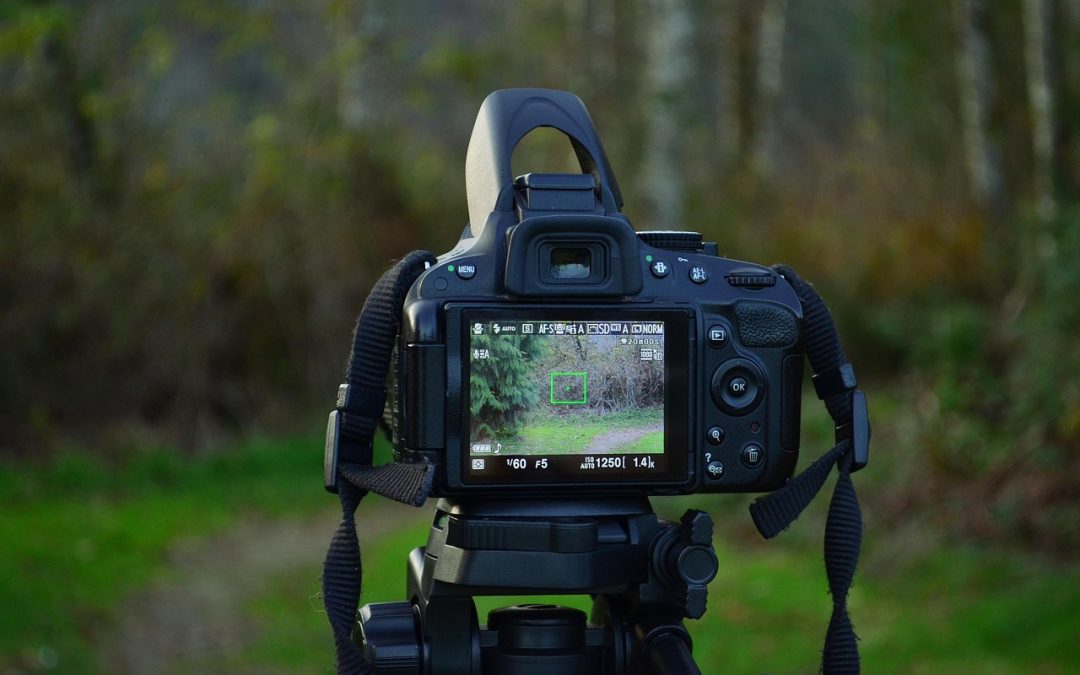#Devreporter: assessorament en la realització de càpsules documentals sobre mobilitat humana i canvi climàtic