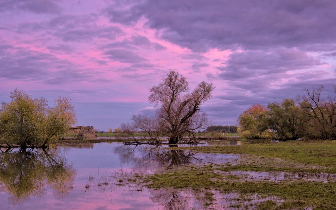 Guanyem una beca DevReporter pel projecte “Migracions climàtiques i justícia ambiental: històries creuades entre el Sud Global i Catalunya”