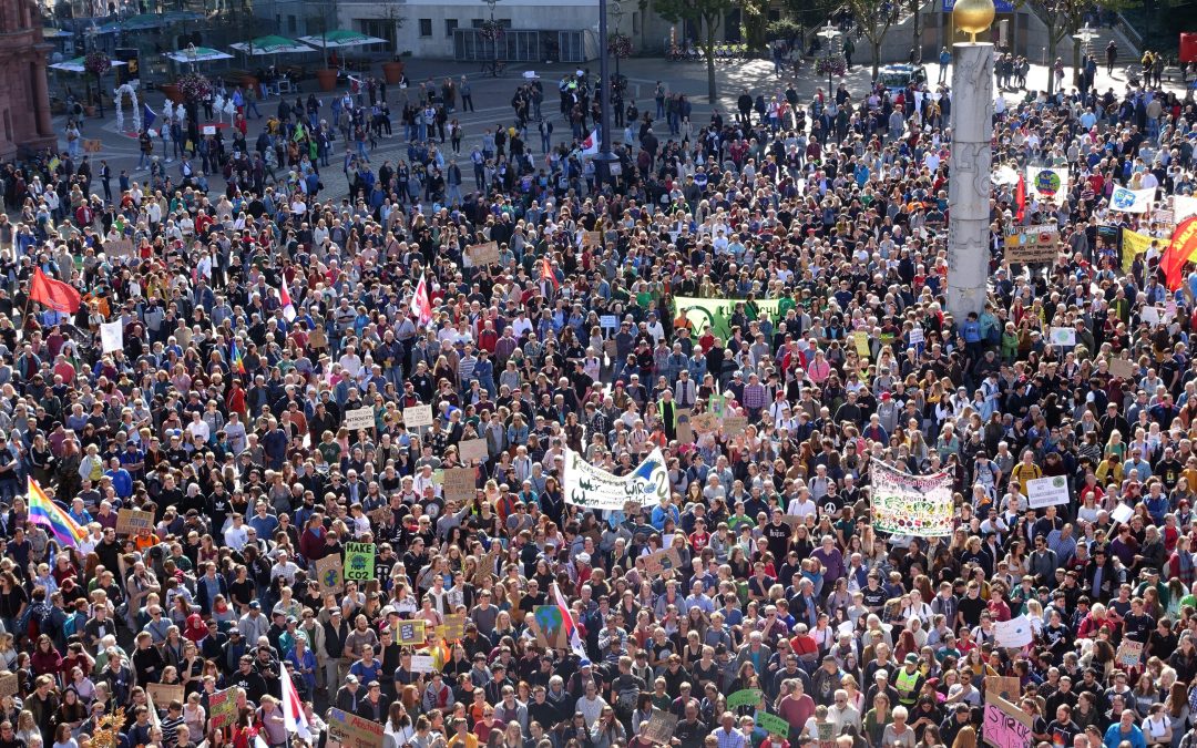 El paper de les joventuts en l’activisme ambiental