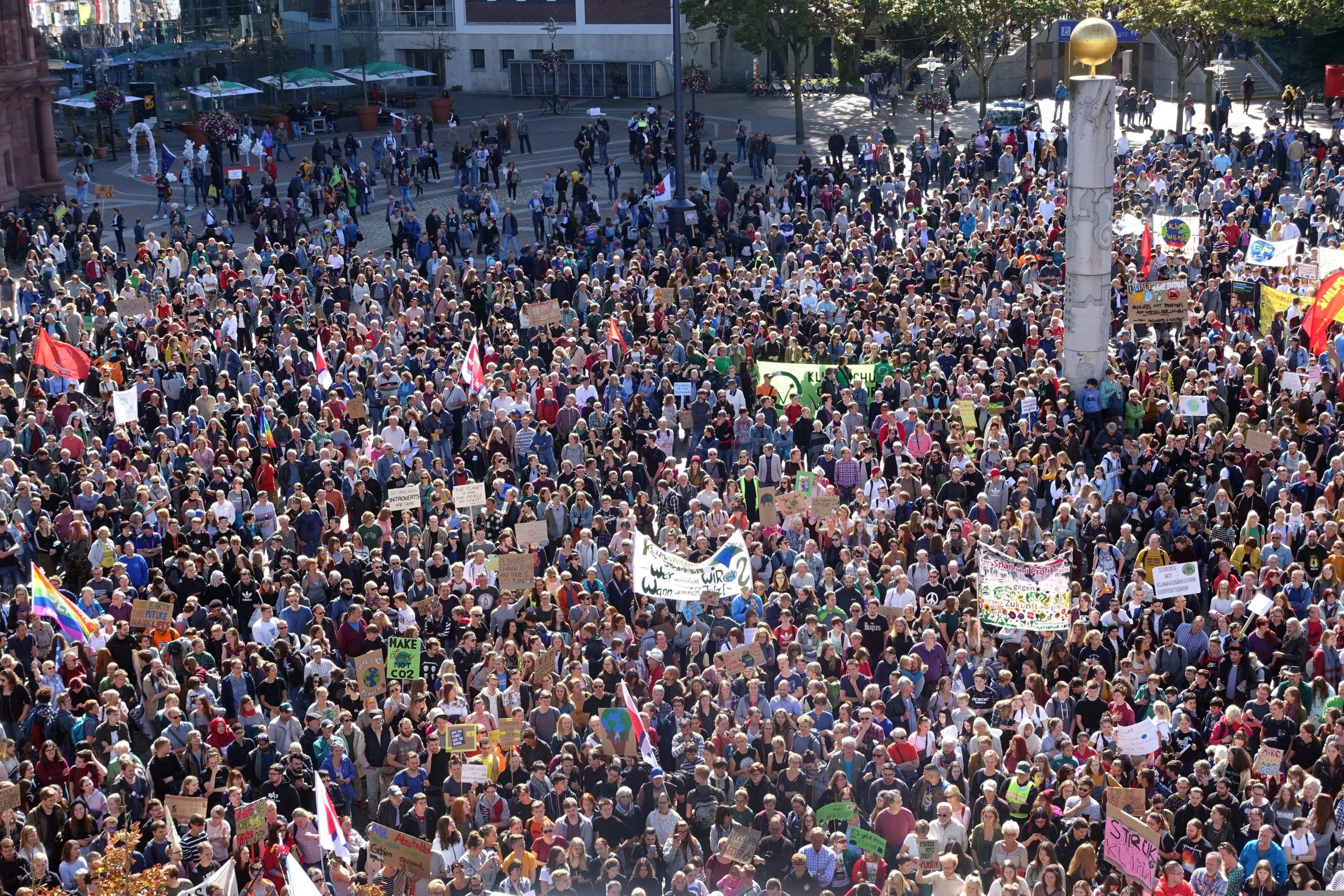 El papel de las juventudes en el activismo ambiental