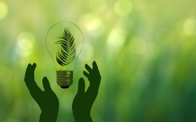 Transición verde, exclusión persistente: ¿dónde están las mujeres en la economía verde?