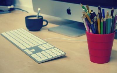 Términos de referencia: Consultoría para la recogida y análisis de datos para la investigación sobre movilidad humana, degradación ambiental y cambio climático en Kolda (Senegal)
